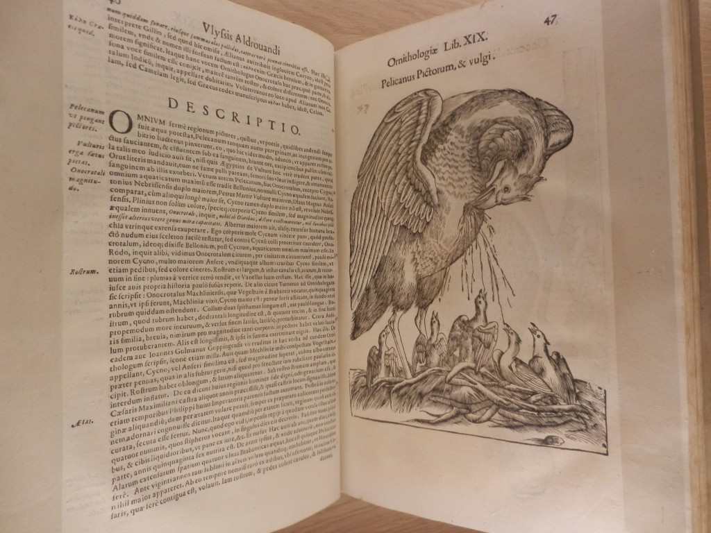 "Ornithologiaie" (Bologna 1562), di Ulisse Aldrovandi. 